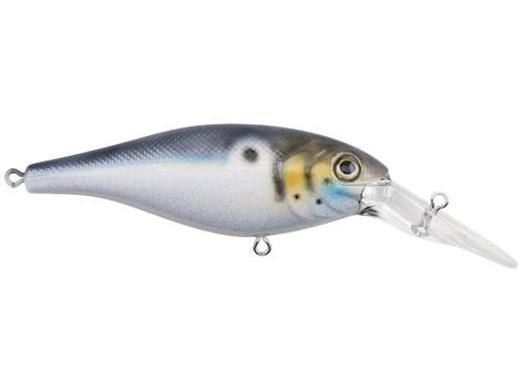 Fillet And Release Fishing Co. All Freshwater Lures Berkley Bad Shad Crankbait