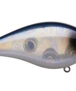 Fillet And Release Fishing Co. Strike King HC KVD 2.5 Wake Bait All Freshwater Lures