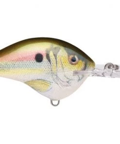 Fillet And Release Fishing Co. All Freshwater Lures Rapala DT Series Crankbaits