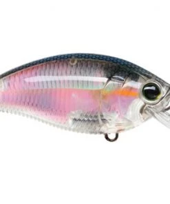 Fillet And Release Fishing Co. All Freshwater Lures Yo-Zuri 3DR Series Shallow Crank