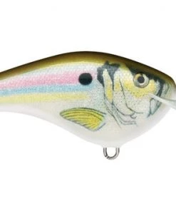 Fillet And Release Fishing Co. Rapala Ott's Garage Slim 06 Crankbaits All Freshwater Lures