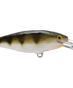 Fillet And Release Fishing Co. Rapala Shad Rap Deep Runner All Freshwater Lures