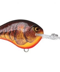Fillet And Release Fishing Co. All Freshwater Lures Rapala DT Series Crankbaits