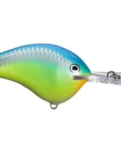 Fillet And Release Fishing Co. All Freshwater Lures Rapala DT Series Crankbaits