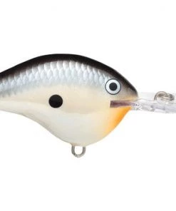 Fillet And Release Fishing Co. All Freshwater Lures Rapala DT Series Crankbaits
