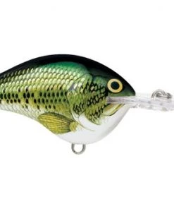 Fillet And Release Fishing Co. All Freshwater Lures Rapala DT Series Crankbaits