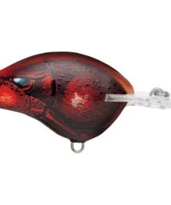 Fillet And Release Fishing Co. All Freshwater Lures Rapala DT Series Crankbaits