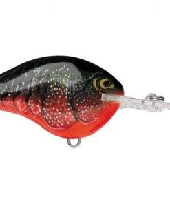 Fillet And Release Fishing Co. All Freshwater Lures Rapala DT Series Crankbaits