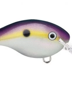 Fillet And Release Fishing Co. All Freshwater Lures Rapala DT Series Crankbaits