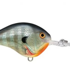 Fillet And Release Fishing Co. All Freshwater Lures Rapala DT Series Crankbaits