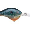 Fillet And Release Fishing Co. All Freshwater Lures Rapala DT Series Crankbaits
