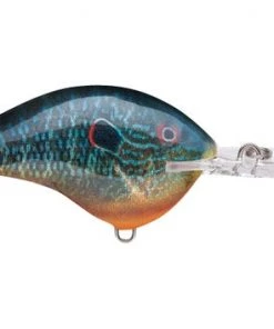 Fillet And Release Fishing Co. All Freshwater Lures Rapala DT Series Crankbaits