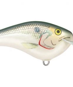 Fillet And Release Fishing Co. Rapala Ott's Garage Slim 06 Crankbaits All Freshwater Lures