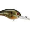 Fillet And Release Fishing Co. Strike King 10XD Crankbait All Freshwater Lures