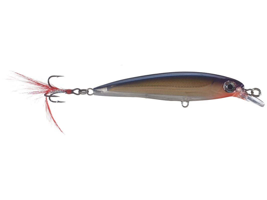 Fillet And Release Fishing Co. Rapala X-Rap XR-8 Diving Jerkbait