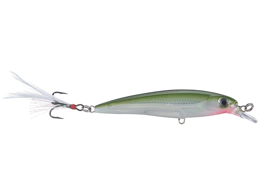 Fillet And Release Fishing Co. Rapala X-Rap XR-10 Diving Jerkbaits