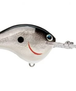 Fillet And Release Fishing Co. All Freshwater Lures Rapala DT Series Crankbaits