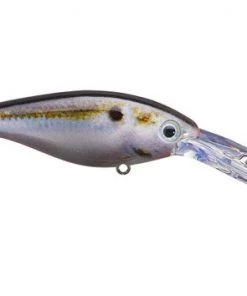 Fillet And Release Fishing Co. Strike King Pro Model Lucky Shad