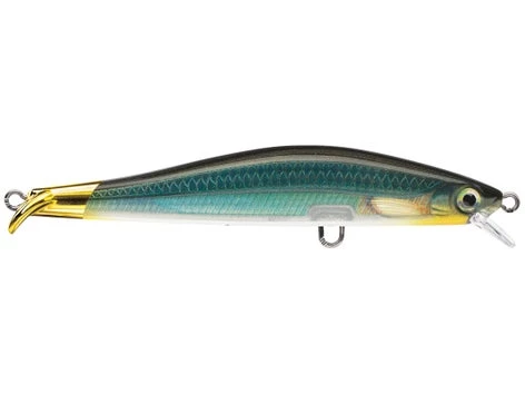 Fillet And Release Fishing Co. All Freshwater Lures Rapala RipStop Jerkbaits