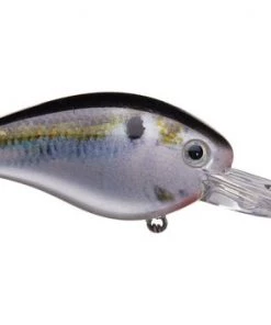 Fillet And Release Fishing Co. Strike King KVD 1.5 Deep Diver Squarebill Crankbaits