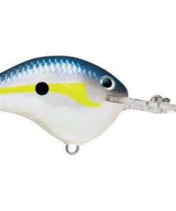 Fillet And Release Fishing Co. All Freshwater Lures Rapala DT Series Crankbaits