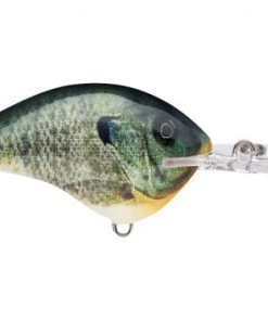 Fillet And Release Fishing Co. All Freshwater Lures Rapala DT Series Crankbaits