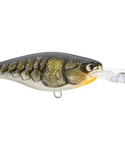 Fillet And Release Fishing Co. All Freshwater Lures Rapala Shad Rap RS Suspending Crankbaits