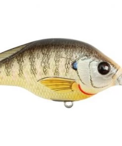 Fillet And Release Fishing Co. All Freshwater Lures LIVETARGET Bluegill Crankbait