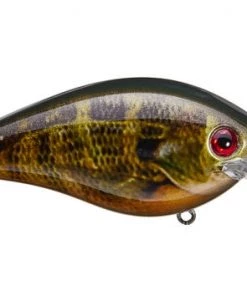 Fillet And Release Fishing Co. All Freshwater Lures Strike King KVD Magnum Squarebill Crankbait