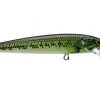 Fillet And Release Fishing Co. Rapala Husky Jerk Jerkbait All Freshwater Lures