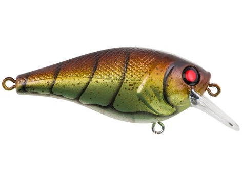 Fillet And Release Fishing Co. Berkley Squarebull Crankbait
