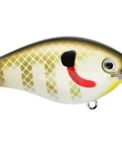 Fillet And Release Fishing Co. Strike King KVD 1.5 Square Bill Silent Crankbait All Freshwater Lures