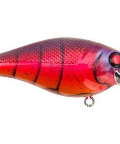 Fillet And Release Fishing Co. Berkley Squarebull Crankbait