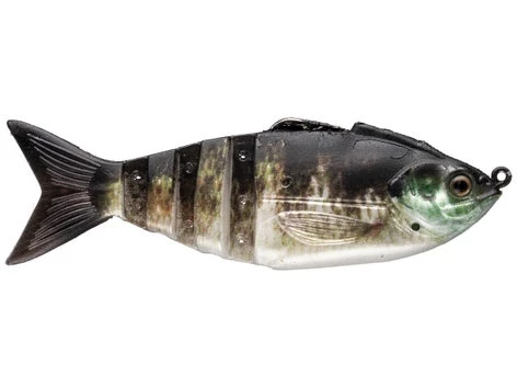 Fillet And Release Fishing Co. Lunkerhunt Gambit Swimbait