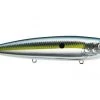 Fillet And Release Fishing Co. Strike King KVD Sexy Dawg All Freshwater Lures