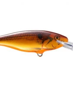 Fillet And Release Fishing Co. Rapala Shad Rap Deep Runner All Freshwater Lures