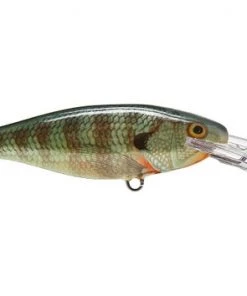 Fillet And Release Fishing Co. Rapala Shad Rap Deep Runner All Freshwater Lures