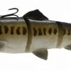 Fillet And Release Fishing Co. All Freshwater Lures Savage Gear Line Thru 3D Swimbait